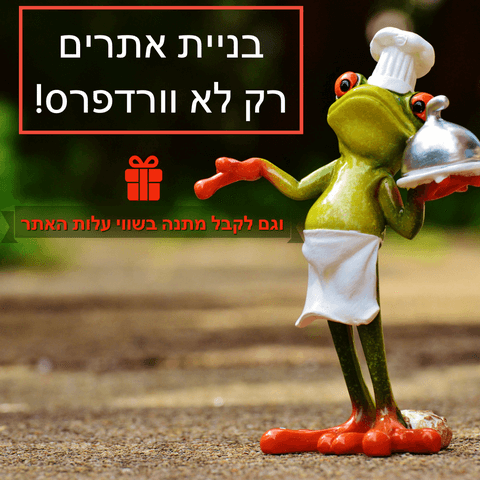 בניית אתר אינטרנט